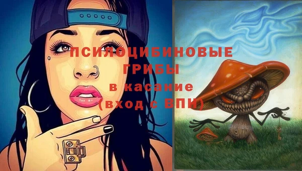 винт Алексин