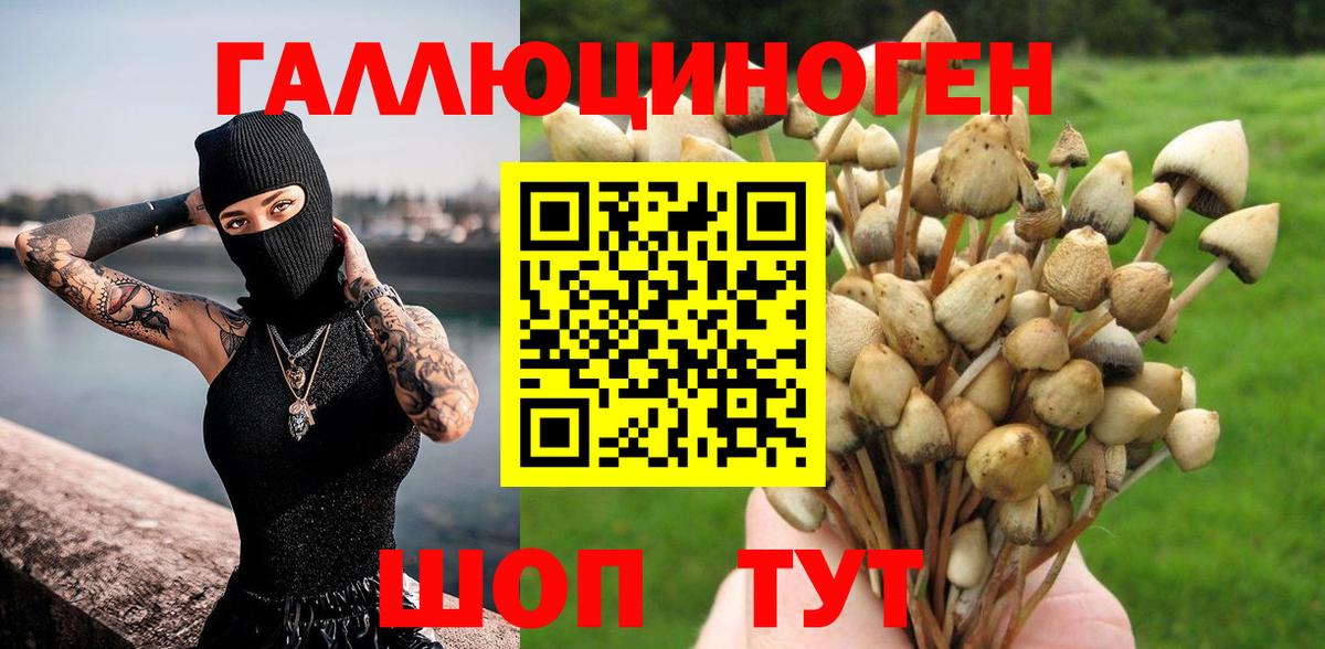 Галлюциногенные грибы Psilocybine cubensis Соликамск